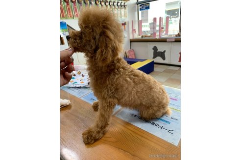 ナギちゃん1枚目